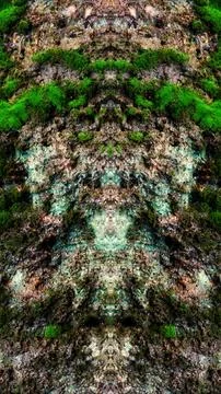 Abstract Symmetrical pattern Moss texture. Stone Grunge Textured Image, bac.. Stock Photos