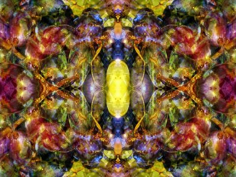 Abstract symmetrical pattern Stock Photos