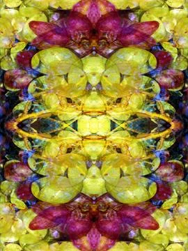 Abstract symmetrical pattern Stock Photos