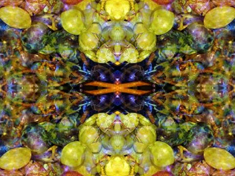 Abstract symmetrical pattern Stock Photos
