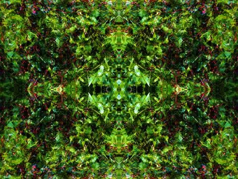 Abstract symmetrical pattern Stock Photos
