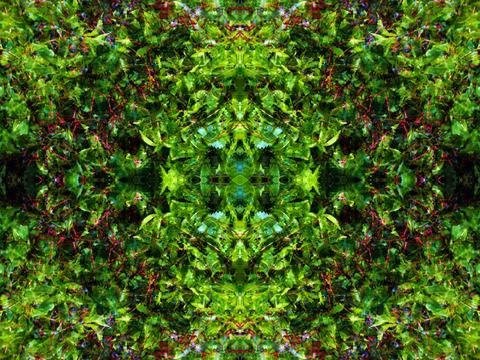 Abstract symmetrical pattern Stock Photos
