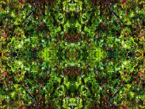 Abstract symmetrical pattern Stock Photos