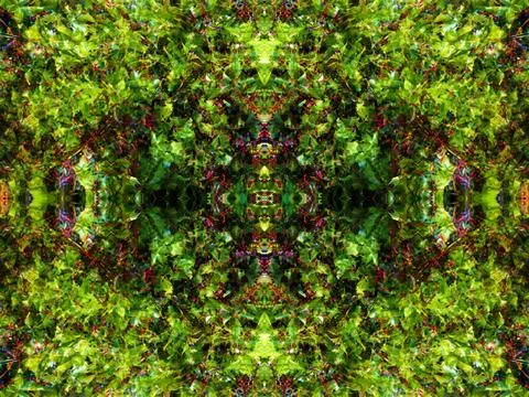 Abstract symmetrical pattern Stock Photos