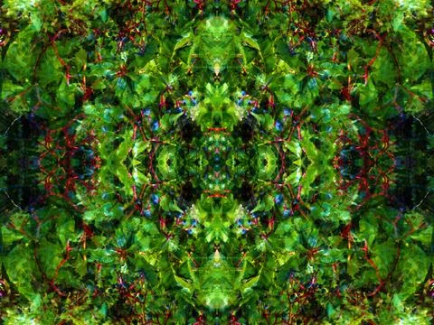 Abstract symmetrical pattern Stock Photos