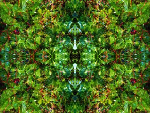 Abstract symmetrical pattern Stock Photos