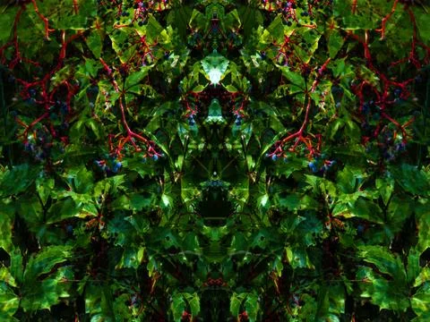Abstract symmetrical pattern Stock Photos