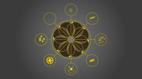 Abstract symmetrical vector mandala Stock Footage 24233697