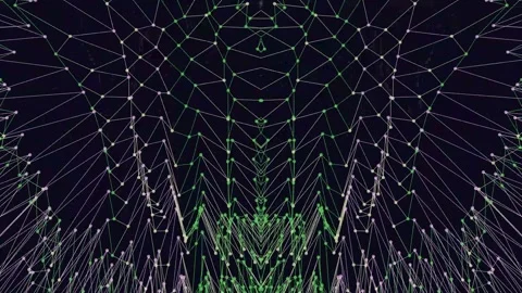 Abstract Symmetrical Wireframe Plexus Network Background Stock Footage 329894106
