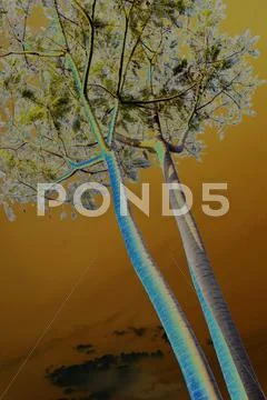 Abstract tall tree stem branches and leaves Stock Illustration