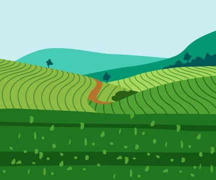 Abstract tea plantation vector design Stock Illustration