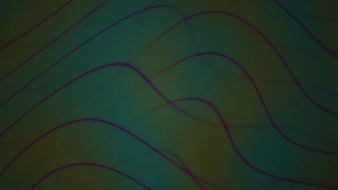 Abstract Teal and Olive Gradient Background with Flowing Purple Wavy Lines .. Stock Footage 344719253