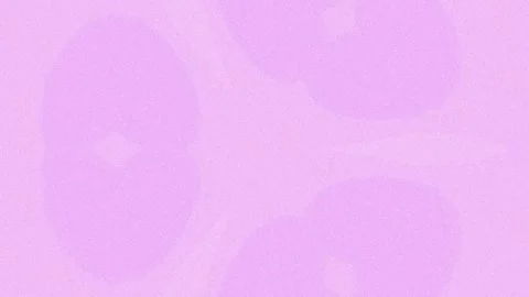Abstract tech flow: Digital data merging with organic nature texture backgrou Stock Footage 335462792