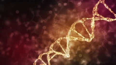 Abstract technological representation of digital plexus DNA molecule. For 库存影片 141741020
