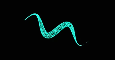 Abstract technology blue lines from animated dots, circles of particles. blend Stock Footage 165076281