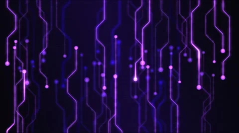 Abstract Technology Circuit Background Animation - Loop Purple Stock Footage 48388840