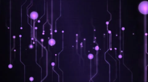 Abstract Technology Circuit Background Animation - Loop Violet Stock Footage 68008308