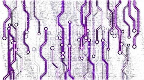 Abstract Technology Circuit Background - Loop Purple Stock Footage 64653548