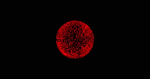 Abstract technology Red sphere background made of animated lines and dots Stock Footage 166323207