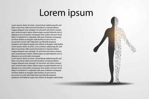 Abstract technology science concept human digital on hi tech gray background 스톡 일러스트