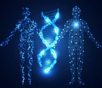 Abstract technology science concept human digital link and DNA on hi tech Stock Illustration