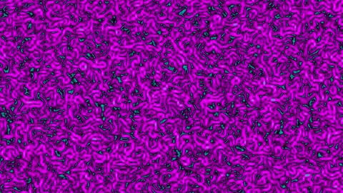 Maggots Animation Stock Videos – Royalty-Free HD & 4K Videos | Pond5