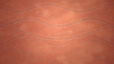 Abstract Terracotta Background with Drifting Wavy Lines and Subtle Textures Stock Footage 342219126