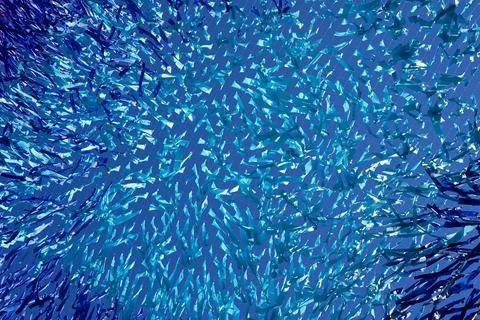 Abstract texture and background from blue tapes Stock Photos