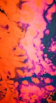 Abstract texture and background on marble floor with colorful patches. backgr Stock-Fotos