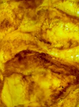 Abstract texture and background on marble floor with colorful patches. backgr 스톡 사진