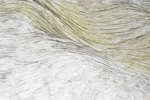 Abstract texture, artificial fur carpet background Stock Photos