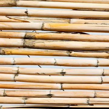 Abstract texture background of a bamboo wall Foto stock