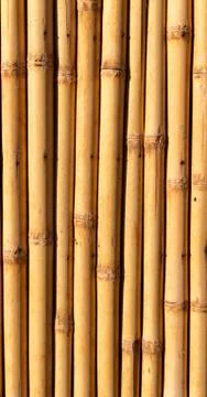 Abstract texture background of the bamboo wall Foto stock