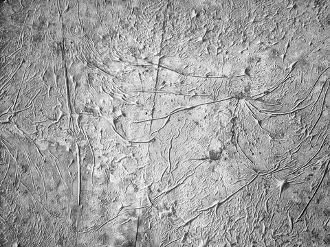 Abstract texture background cement wall surface blank Stock Illustration