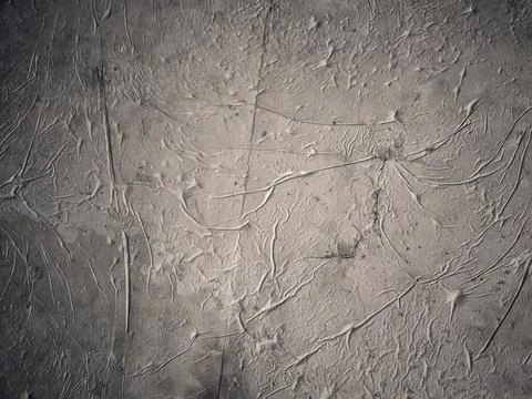 Abstract texture background cement wall surface blank Stock Illustration