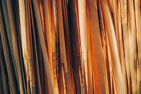 Abstract texture background with close up of dried natural palm tree leaf Stock Photos