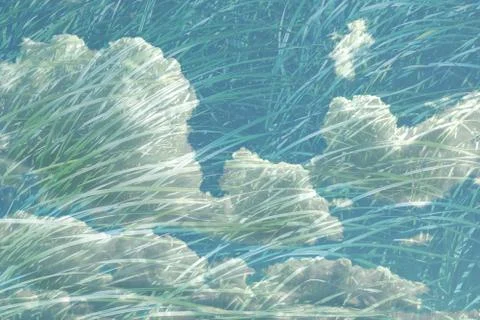 Abstract texture background clouds and grass double exposure Foto stock