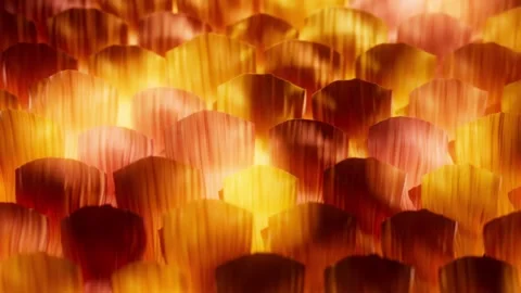 The abstract texture background is continuously playing in the golden sunlight. Video stock 338319502