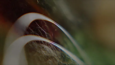 Abstract Texture Background Stock Footage 332128016