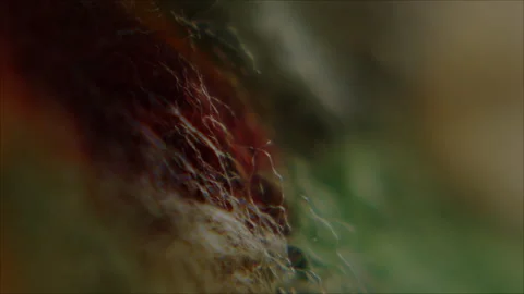 Abstract Texture Background Video stock 332128218