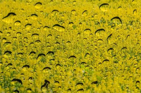 Abstract texture background Stock Illustration