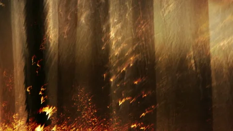 Abstract Texture Background Loop Stock Footage 194482474