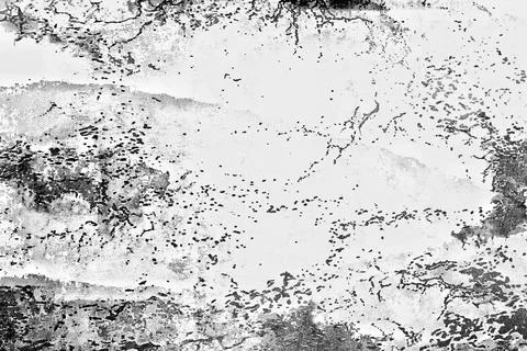 Abstract texture background rough surface black and white Stock Illustration