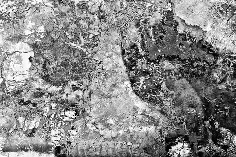 Abstract texture background rough surface black and white Stock Illustration
