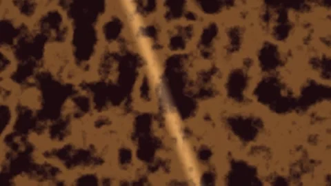 Abstract texture with brown and black patterns in digital 库存影片 339300645
