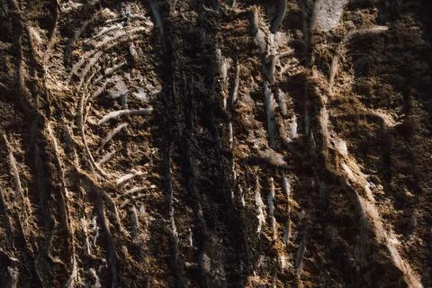 Abstract texture. Brown texture. Stone background. Rock texture. Grunge Rough Stock Photos