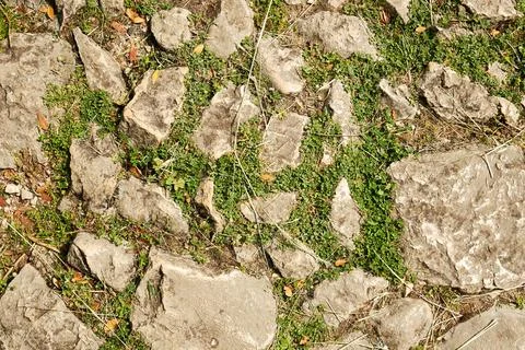 Abstract texture of the cobblestone footpath with grass and stones Stock Photos