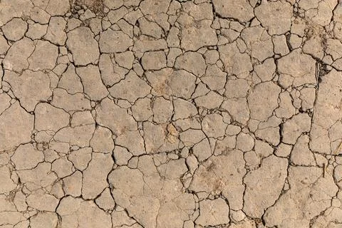Abstract texture of cracking soil ground of drougt area in forest. Stock Photos