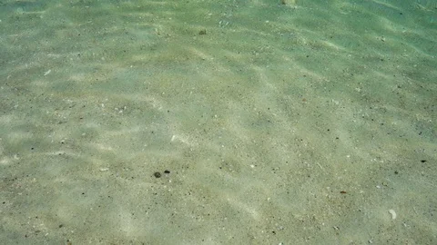 Abstract texture of crystal clear water sea background, Beautiful tr 스톡 동영상 128391907