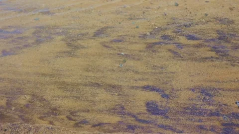 Abstract texture of crystal clear water rippling over patterned beach sand Stock Footage 338194053